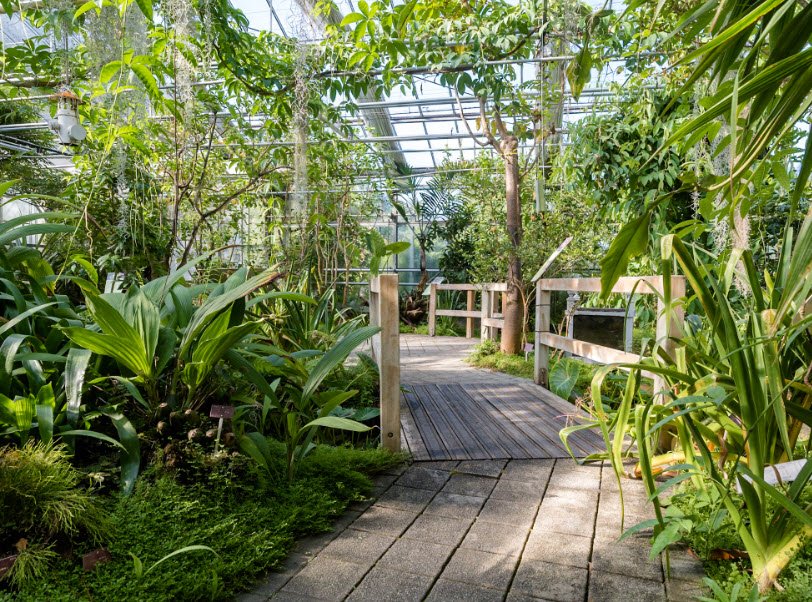 National Botanical Conservatory of Brest, Brest, France, France
